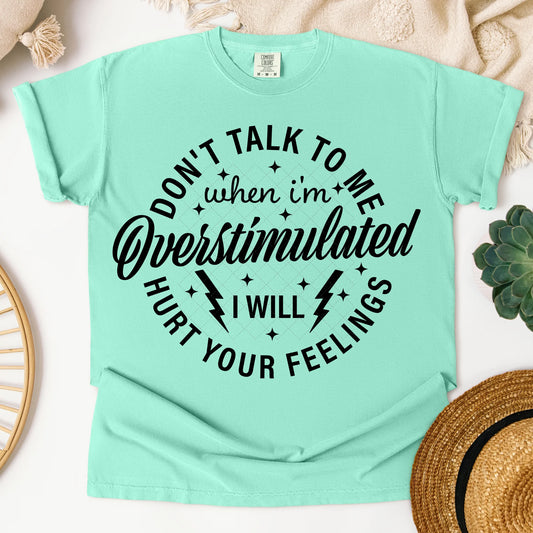 Adult Tshirt
